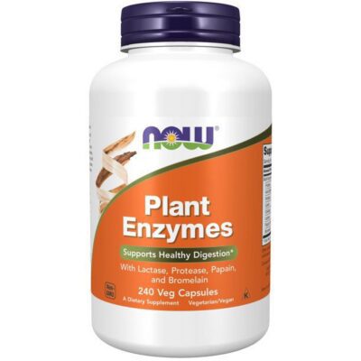 Now Plant Enzymes 240ct