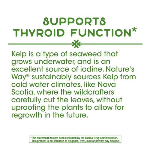 KELP 600MG 100CT - Image 2